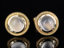  The Nellie Moonstone Stud Earrings in 14K Yellow Gold