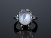 The Peggy Moonstone Ring in 14K White Gold