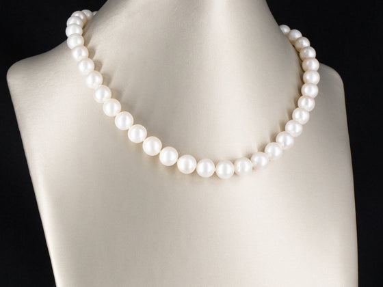 9.5-10 mm. Saltwater Pearl Necklace with 14K Yellow Gold Clasp