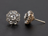 Mixed Metal Rose Cut Diamond Cluster Stud Earrings