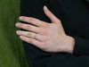 The Amelia Band