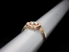 The Botanica Ruby and Diamond Ring in 14K Yellow Gold