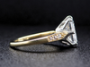 The Bramber Engagement Ring in 18K Yellow Gold and Platinum