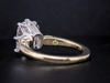 The Bramber Engagement Ring in 18K Yellow Gold and Platinum
