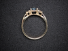The Elaina Aquamarine and Diamond Ring in 14K Yellow Gold
