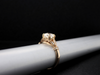The Hampshire Cushion Diamond Engagement Ring in 14K Yellow Gold