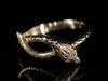 The Serpentine and Diamond  Eyes Snake Band