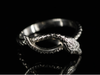 The Serpentine and Diamond  Eyes Snake Band