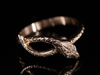 The Serpentine and Diamond  Eyes Snake Band