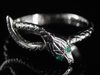 The Serpentine and Green Eyes Snake Band