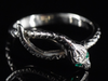 The Serpentine and Green Eyes Snake Band